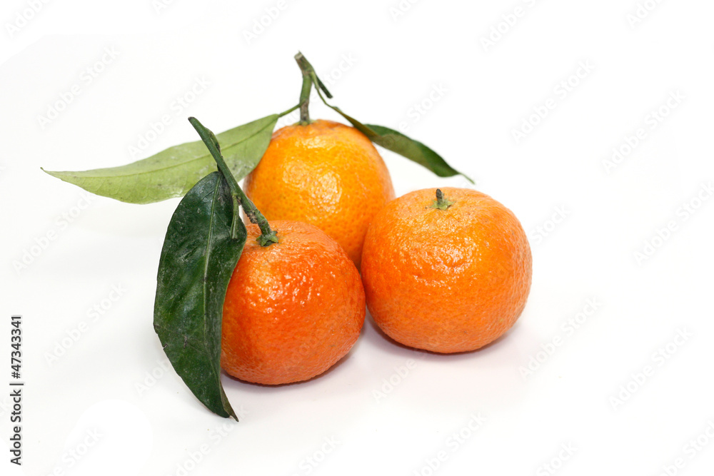 clémentines clémentines