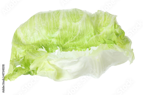 Iceberg Lettuce