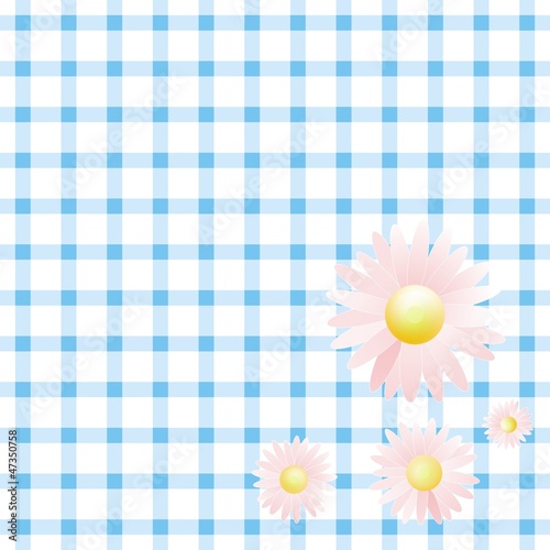 Gänseblümchen auf karierter Decke