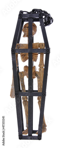 skeleton chained in cage isolated on white background