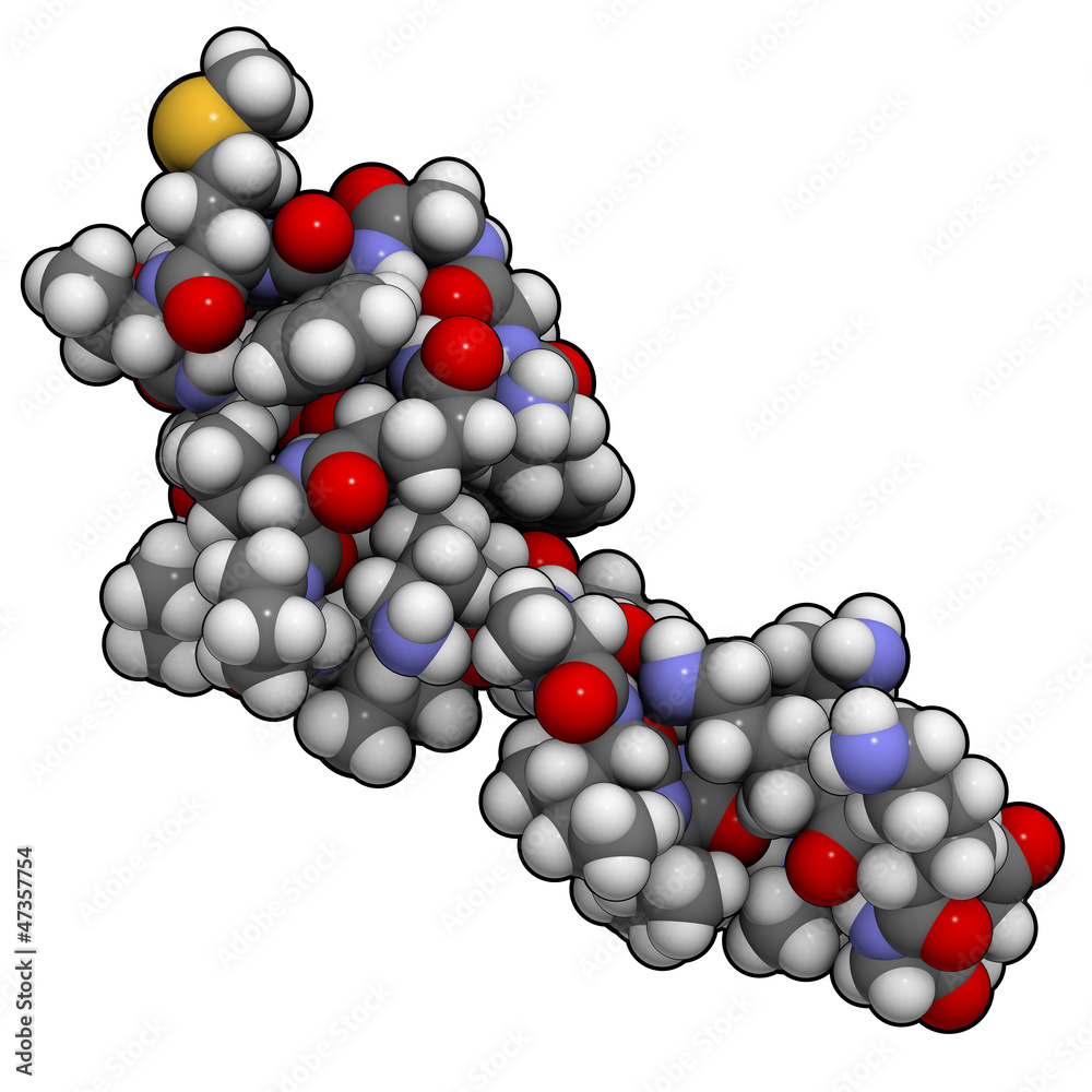 Beta-endorphin, chemical structure.