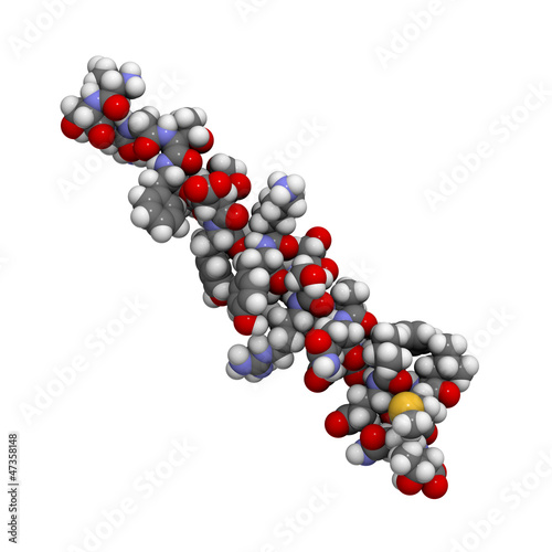 Glucagon peptide hormone molecule  chemical structure