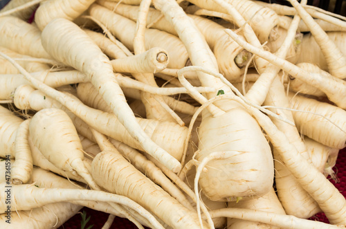 Obraz na plátně Parsnips on display at the market