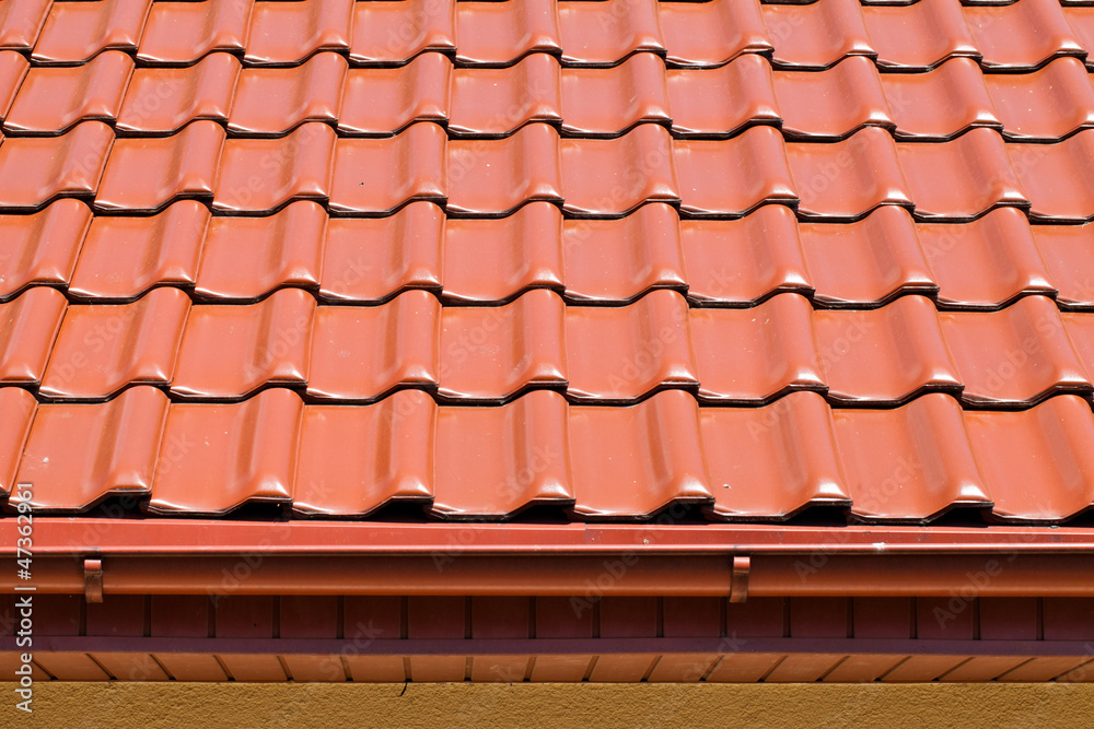 Fototapeta premium red roof