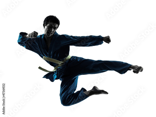 Tela karate vietvodao martial arts man silhouette