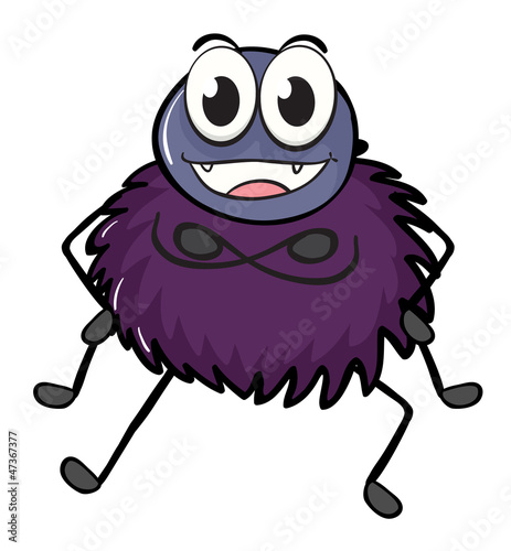 a spide