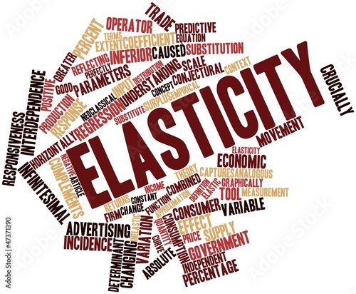 Word cloud for Elasticity photo