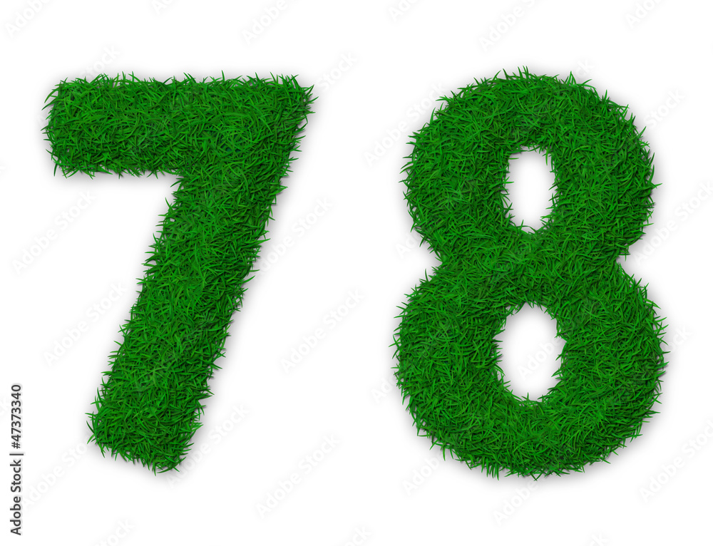 Grassy numbers Grassy numbers