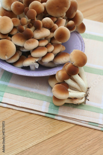 funghi Pioppini su tavola