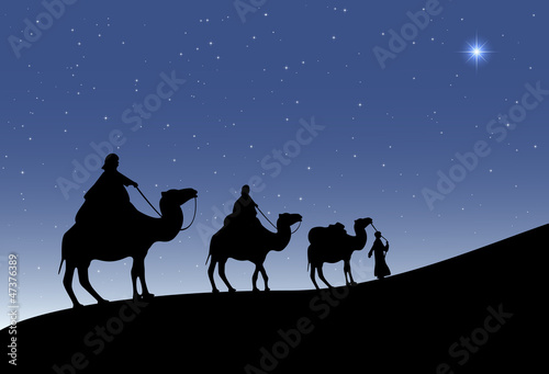 Christmas star