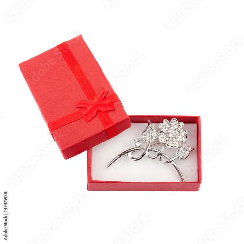 Beautiful silver brooch in a red gift box, isolated on white © Gordana Sermek