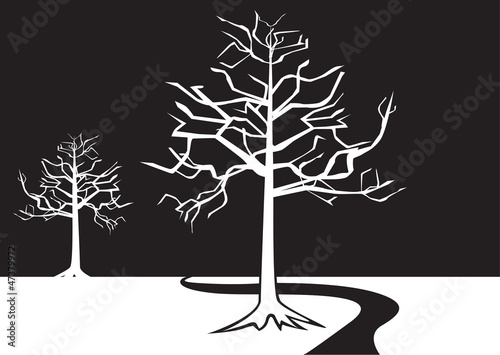 black and white trees
