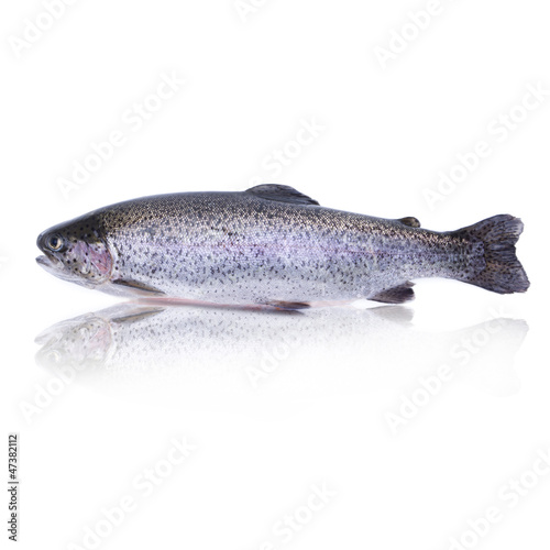 Speisefisch