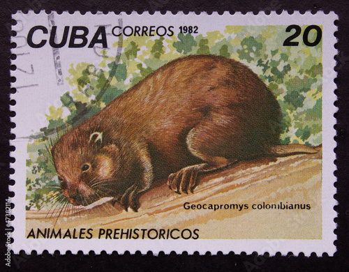 Postage stamp photo