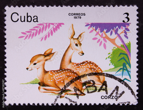 Postage stamp photo