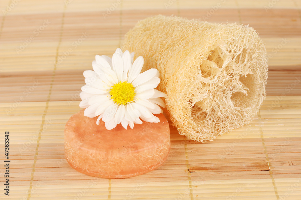 Loofah on color background Loofah on color background