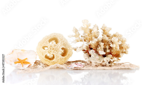 Obraz na płótnie Loofah isolated on white
