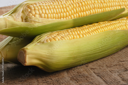 Fresh corn