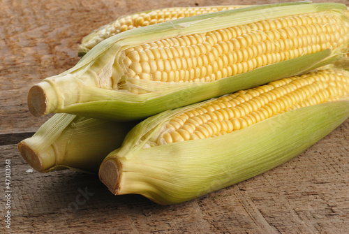 Fresh corn