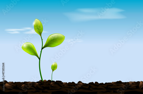 Green sprout , soil and blue sky with clouds - vector file