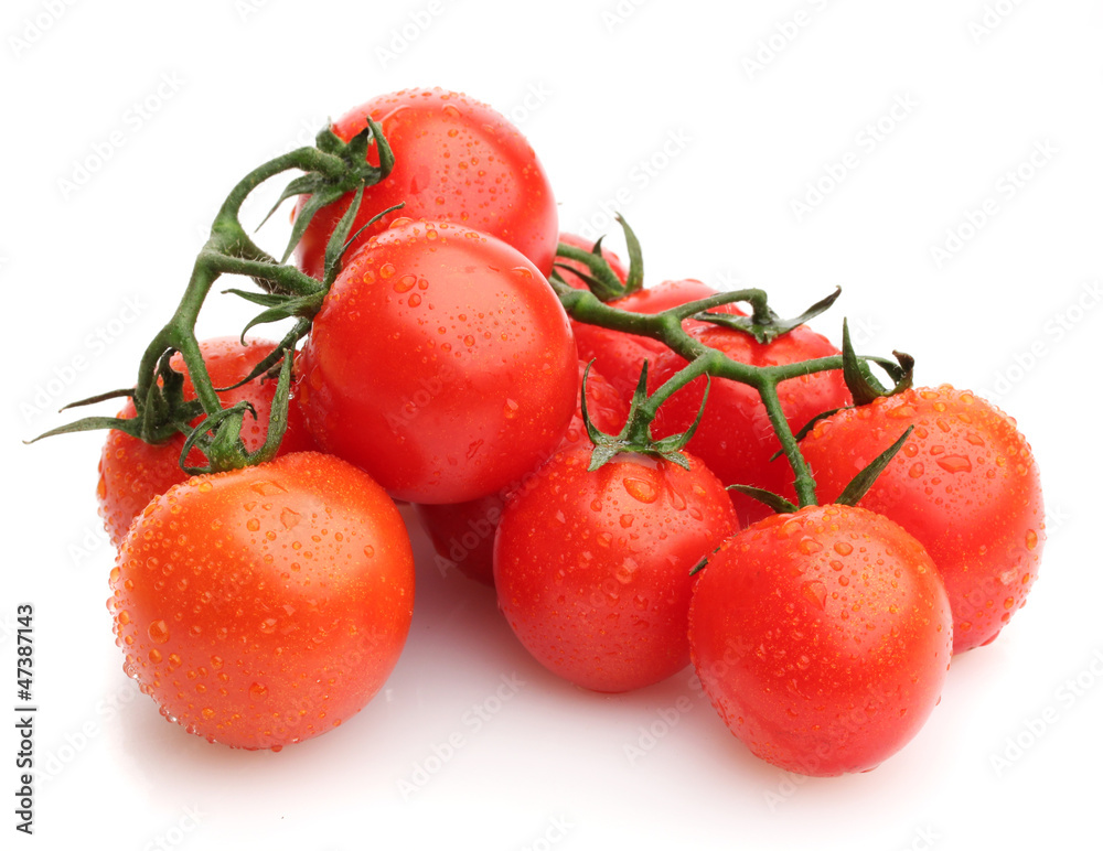 cherry tomatoes on a branch with drops isolated on white cherry tomatoes on a branch with drops isolated on white