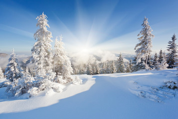Tableau sur plexiglas Hiver Champ enneigé sous un ciel hivernal gris  © Leonid Tit