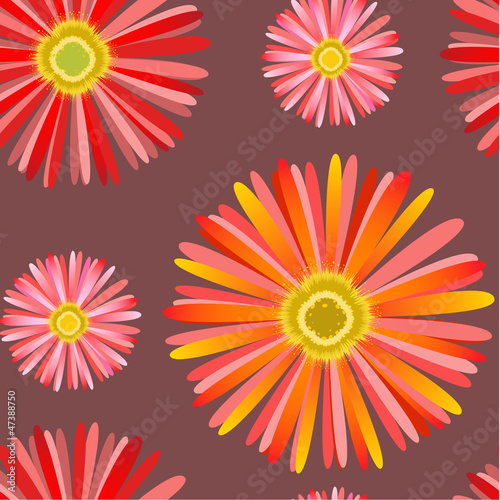 seamless pattern with Сhrysanthemum