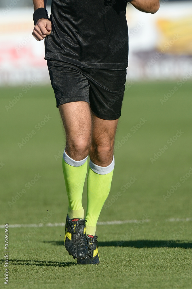 Fototapeta premium Arbitro