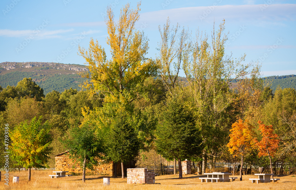 picnic area picnic area