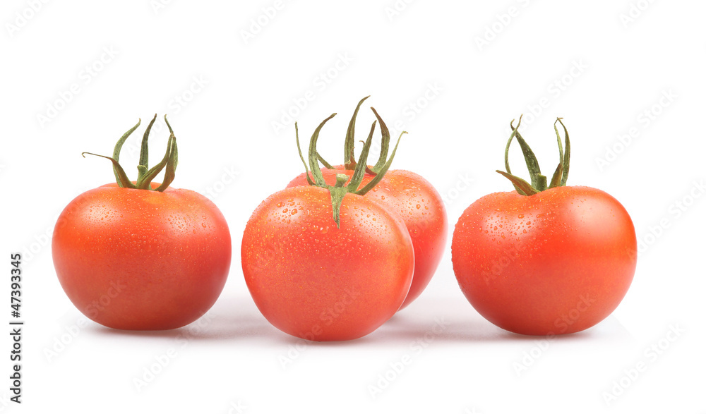 Tomatos isolated on white - obrazy, fototapety, plakaty 