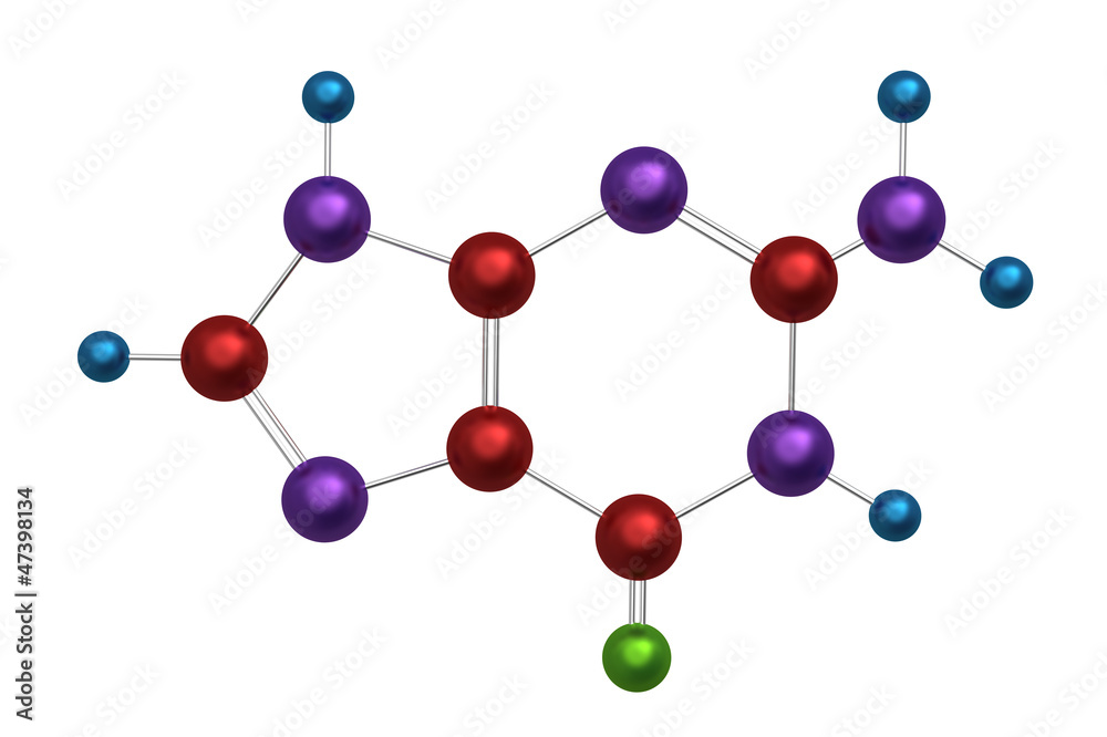 Molecule of guanine Molecule of guanine