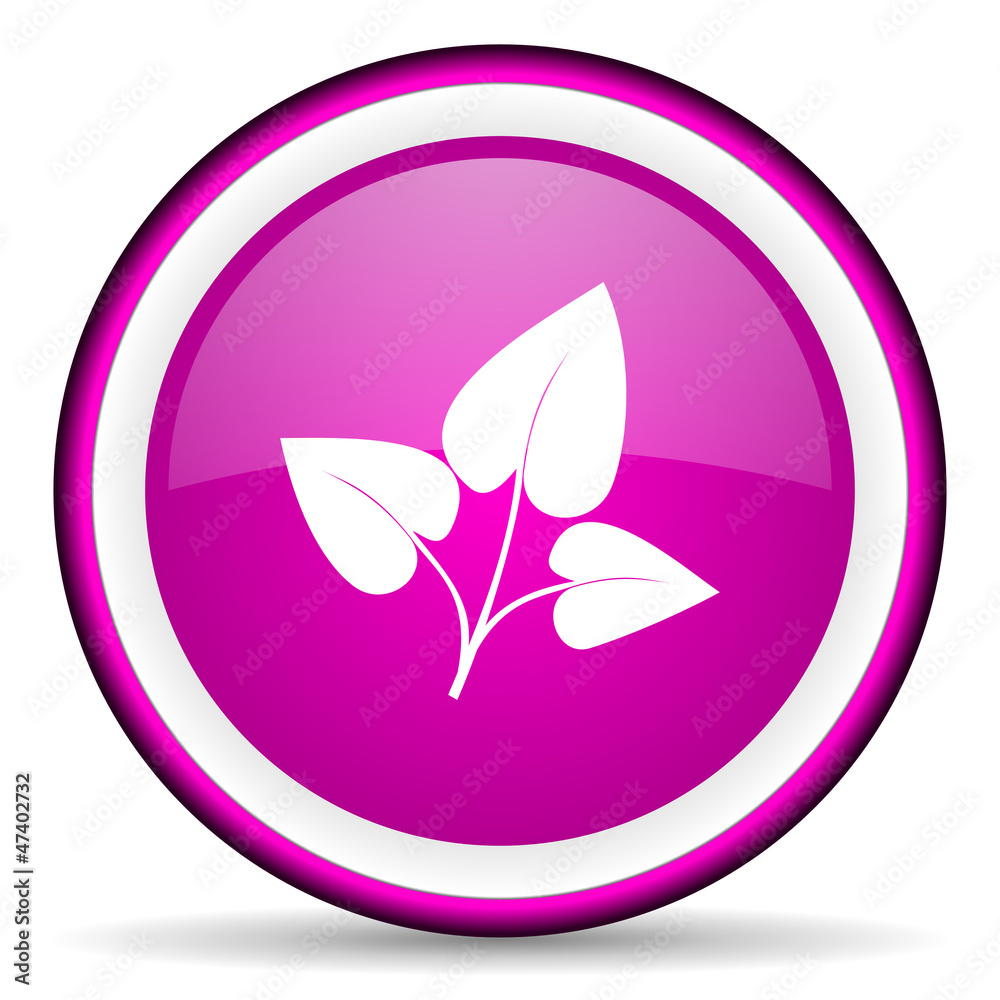 eco violet glossy icon on white background eco violet glossy icon on white background