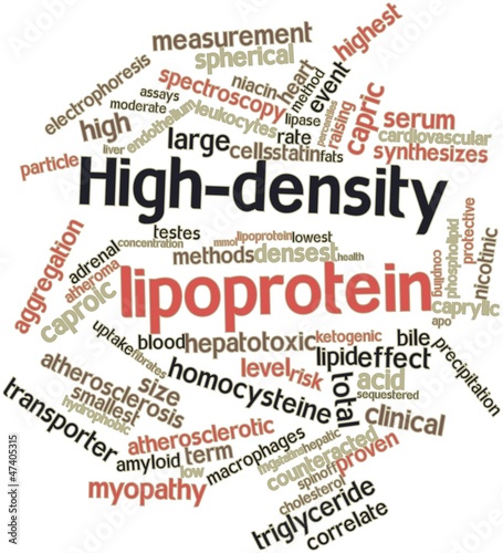 Word cloud for High-density lipoprotein photo