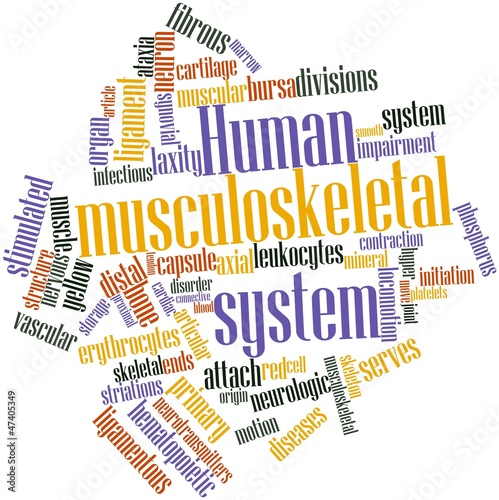 Word cloud for Human musculoskeletal system photo