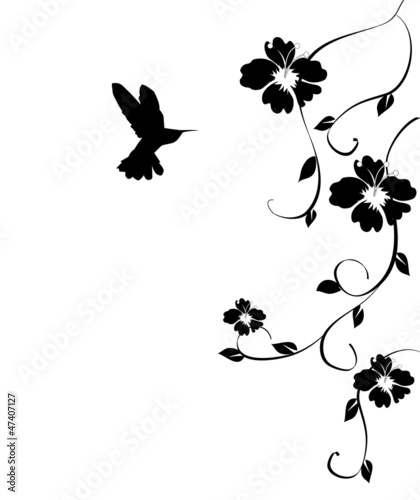 vector hummingbird and flowers