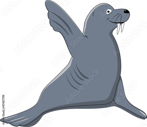 seal say hello