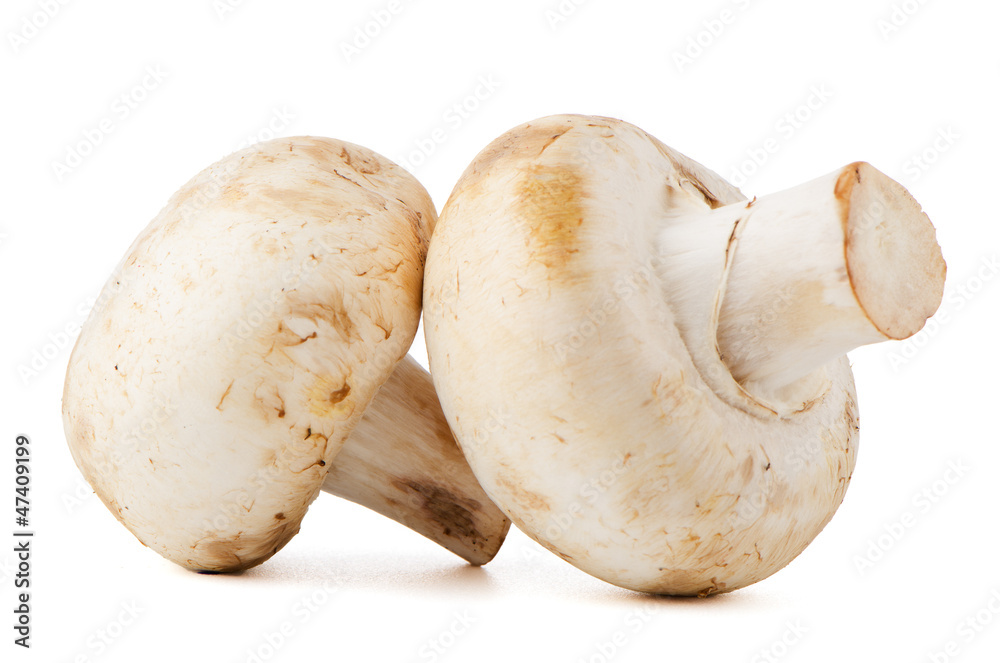 Champignon mushrooms