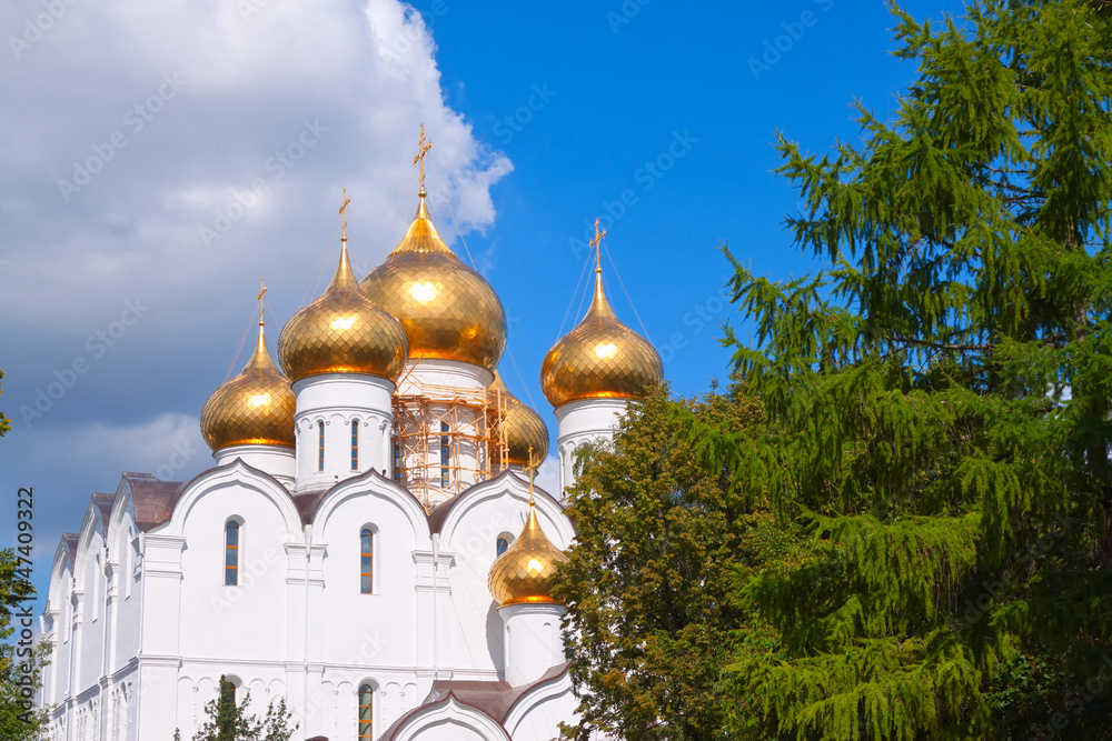Domes of Assumption cathedral