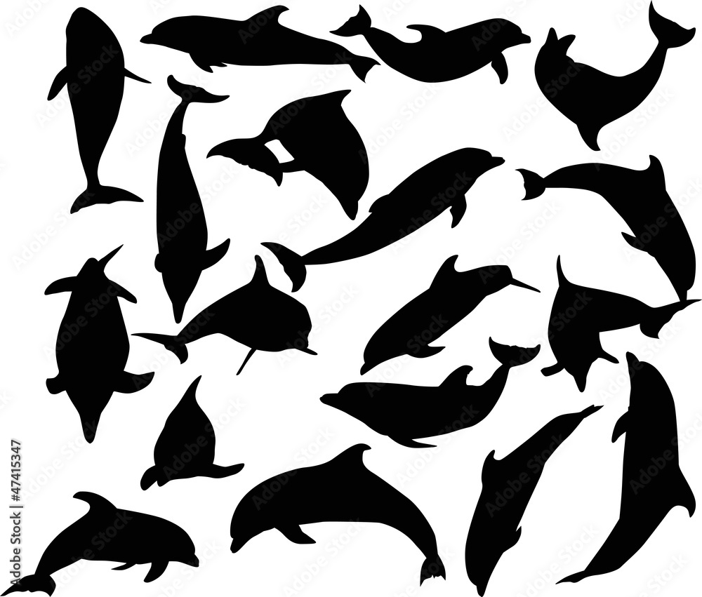 Naklejka premium eighteen dolphins isolated on white