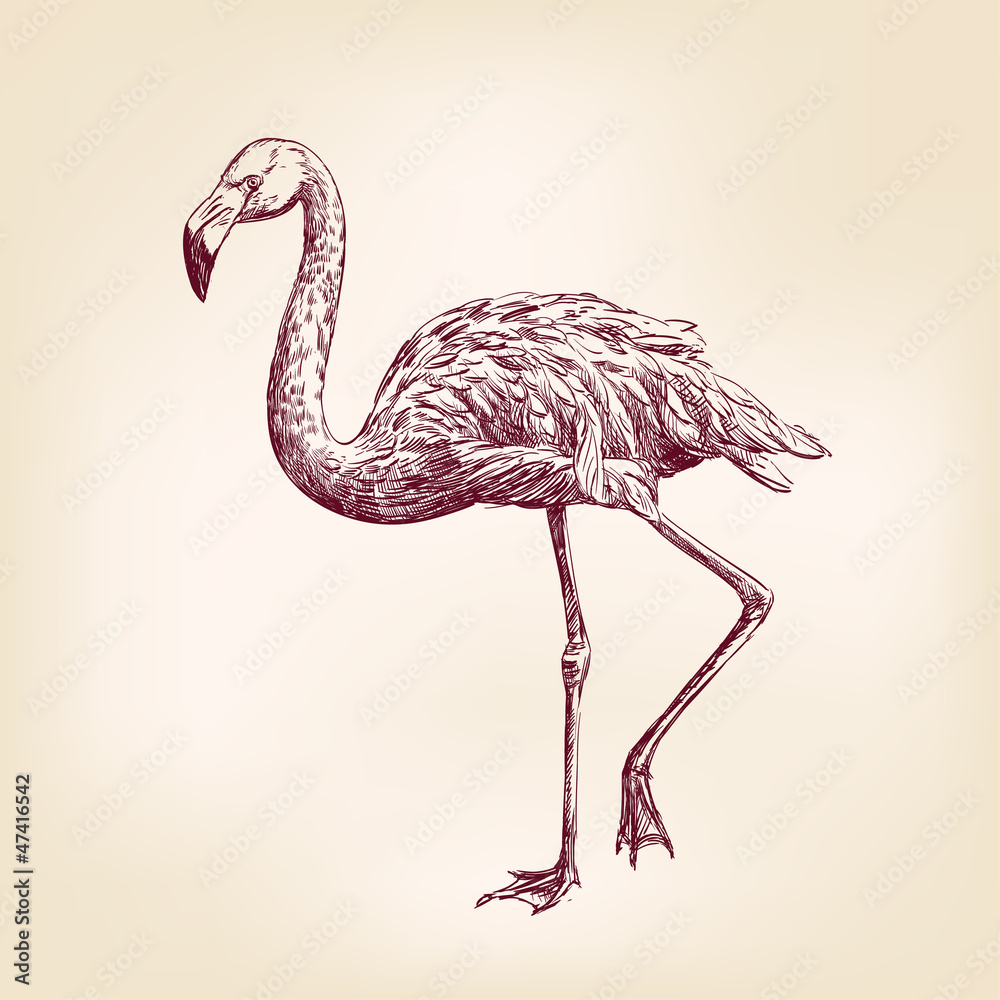 Naklejka premium flamingo wyciągnąć rękę