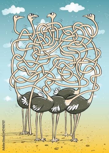 Ostriches Maze Game