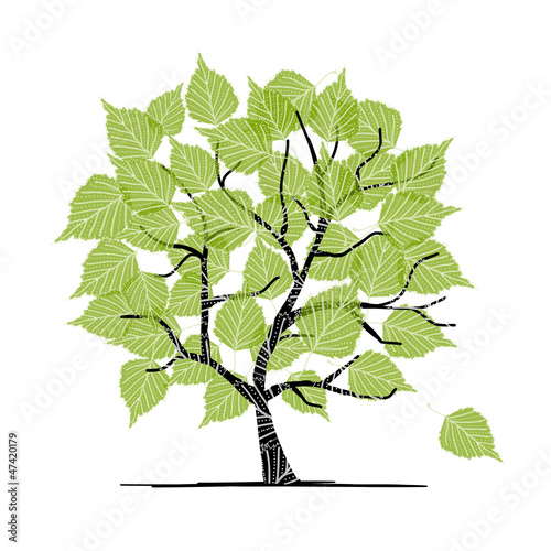 Green birch tree for your design