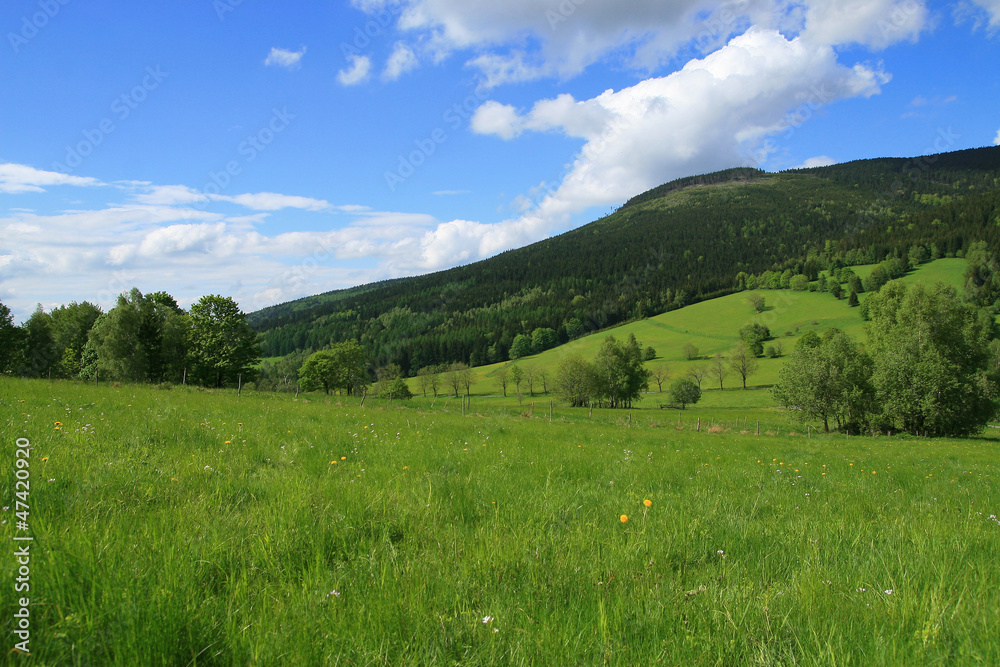 Valley Valley