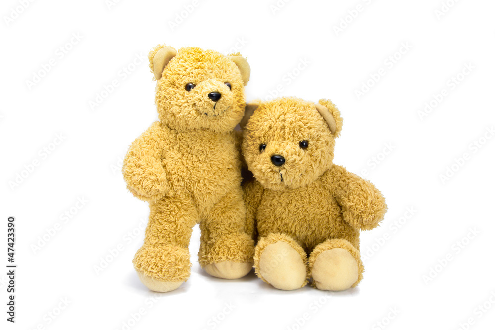 two bear doll sitting
