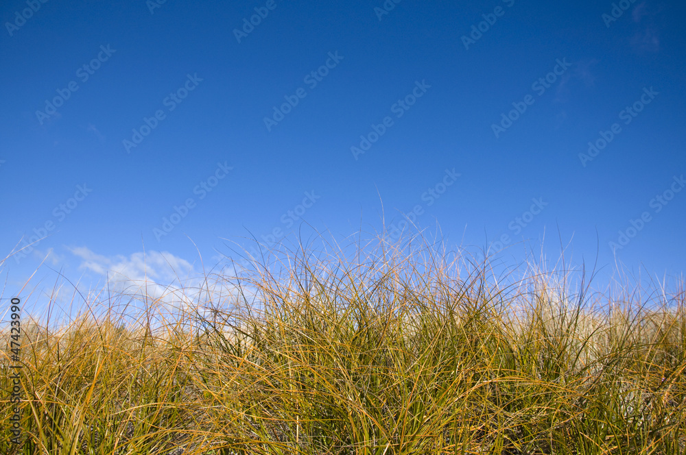Clear blue sky Clear blue sky