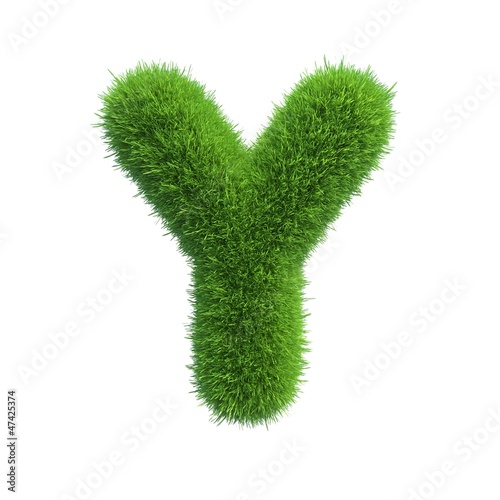 grass letter Y isolated on white background photo