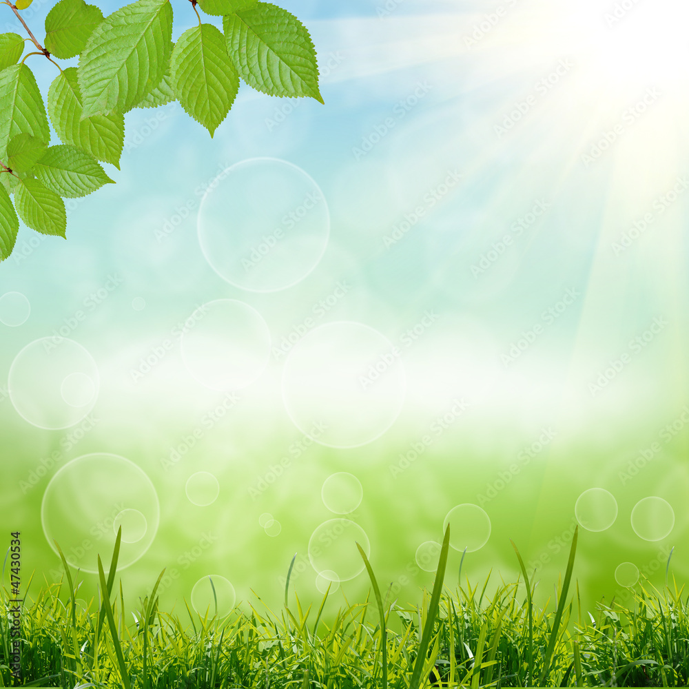 Obraz premium green natute background