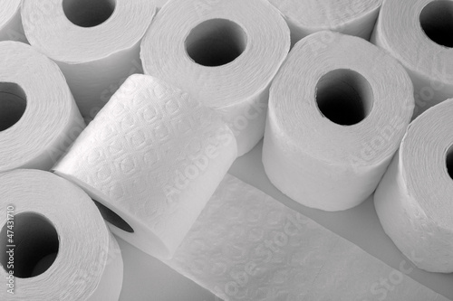 paper toilet rolls photo