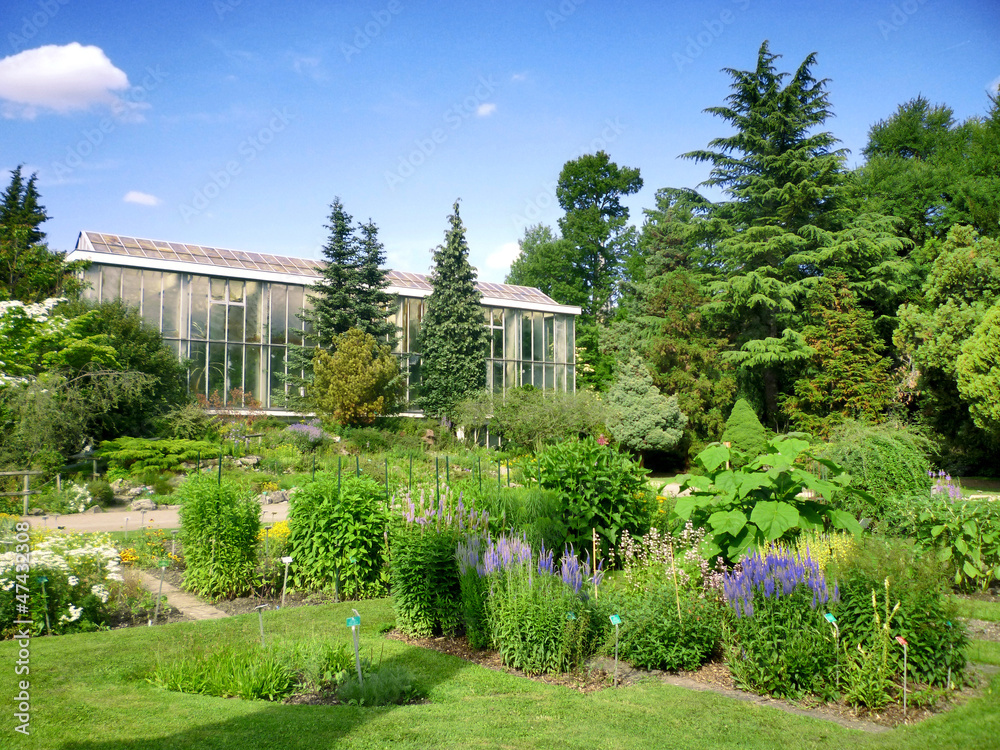Fototapeta premium jardin botanique de Strasbourg