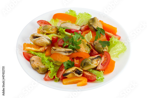 seafood salad on the plate on white background